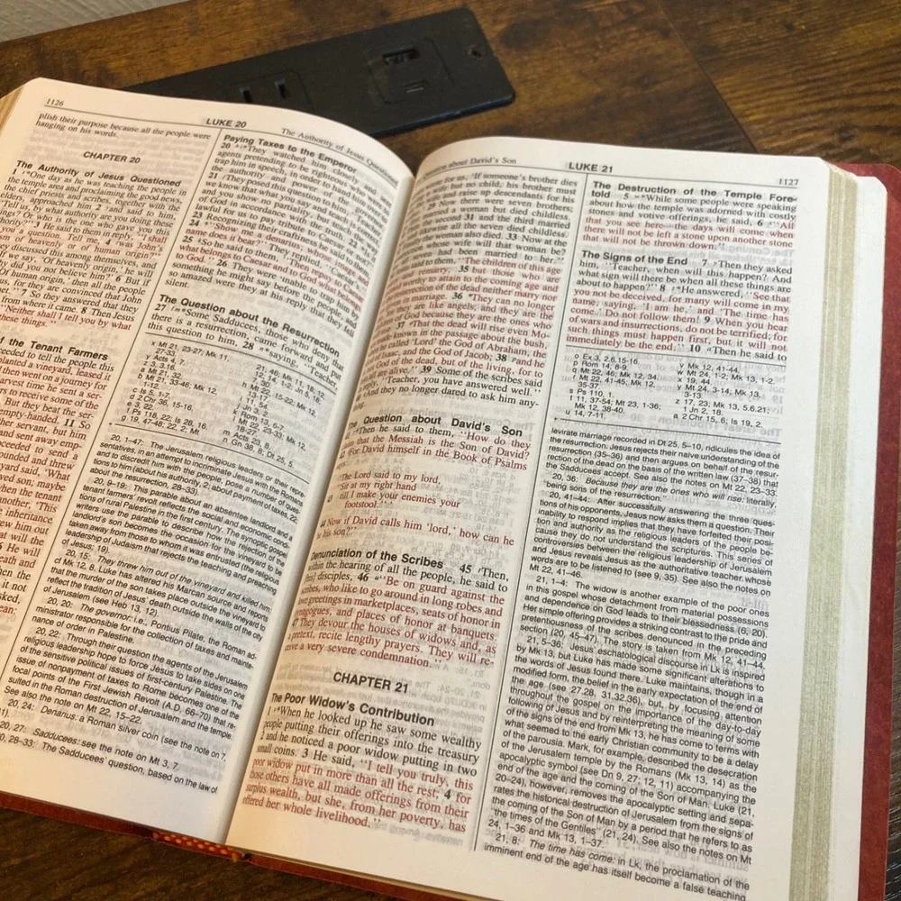 New American Bible Official Catholic Red Letter Burgundy Faux Leather 2000